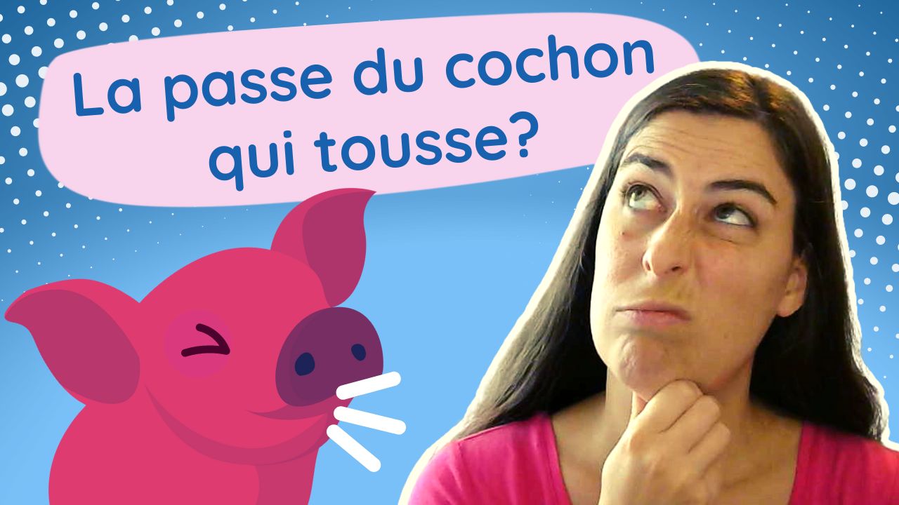 10 expressions québécoises avec le mot « cochon » - maprofdefrançais